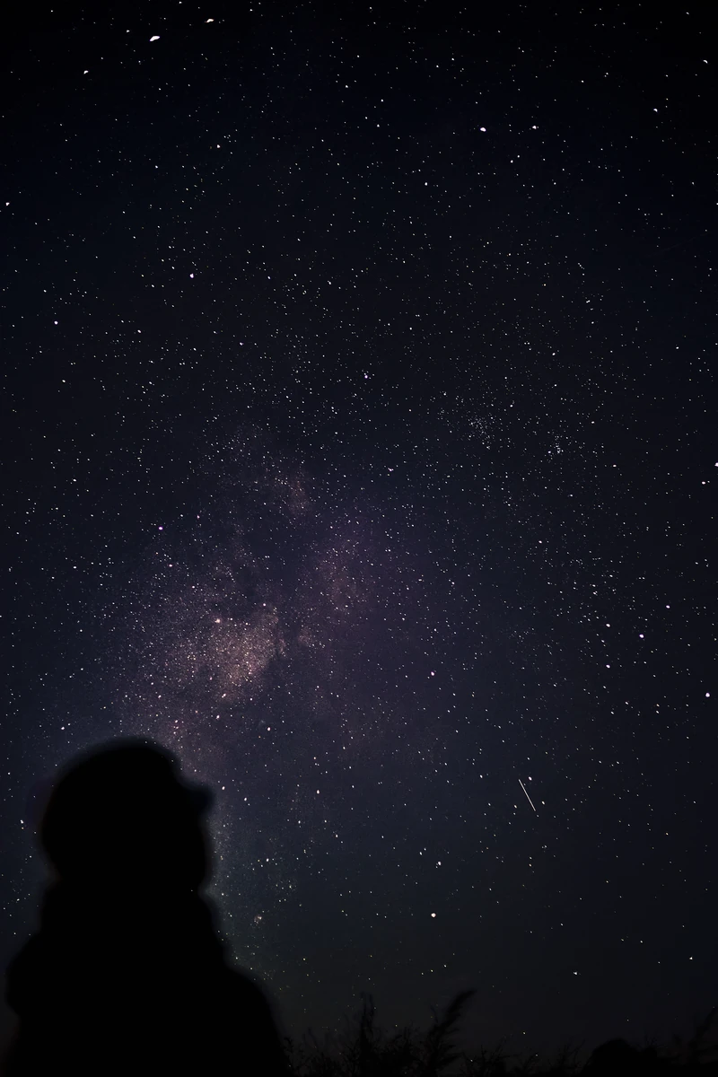 La Voie lactée dans un ciel constellé d'étoiles, au-dessus de la silhouette sombre d'une personne.